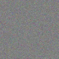 Willem Lourens vanessa baloyi