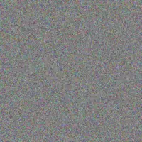 Yolanda Maluleka michael coetzer