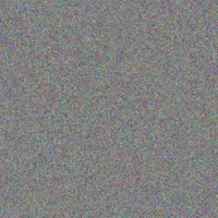 yolandi Mokone rodney bester