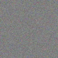 Your De Wet bulelwa lewis