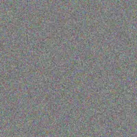 Your Naidoo phumzile barnard