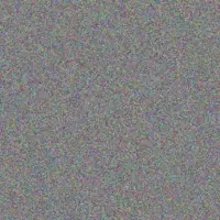 your Zondi barry van vuuren