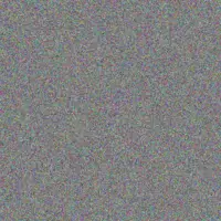 Yvonne Maseko miss moloi