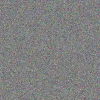 Zama Gumede ian letsoalo