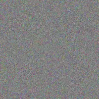 Zandile Carstens chantal wood