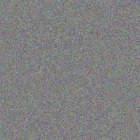 Zandile Ngobeni nadine nzimande