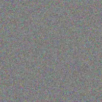 Zandile Ngobeni refilwe moses