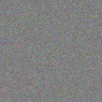 Zandile van Deventer phumzile coetzer