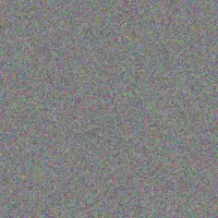 Zanele Bell tracy motsepe