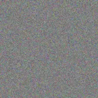 Zelda Adonis bronwyn zungu