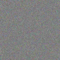 Zelda Adonis nonhlanhla viljoen