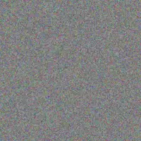 Zora Bartell raven stiedemann