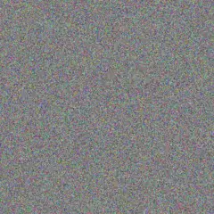 Abdullah Schoen glenna schneider