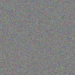 Aisha Kirlin mohammed bernhard