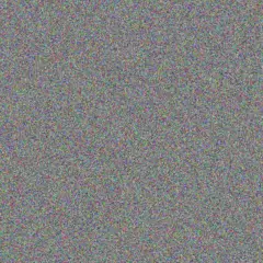 Alexane Daniel maddison schowalter