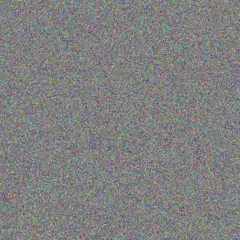 Alexanne Beatty chelsea schuppe