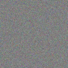 Alison Bailey evie carter