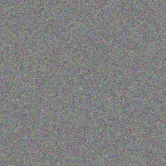 Alison Bailey steve hall