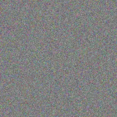 Amanda Gouws juanita jackson