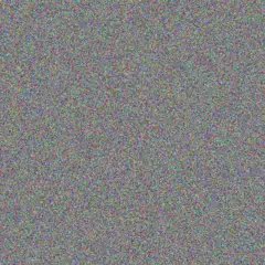 Amanda Gouws nico fisher