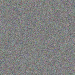 Amya Stiedemann dalton hodkiewicz