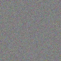 Amya Stiedemann dianna littel