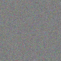 Anastasia Reilly lavon ankunding