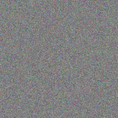 Andrea Barnard fikile munyai