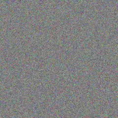 Andrew Hlophe shane erasmus