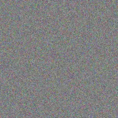 Anna Hoffman neville oliver