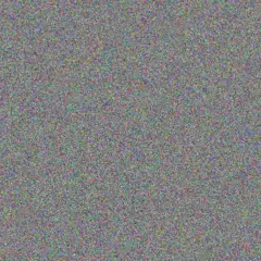 Anthony Knight adam bailey