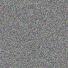 Anthony van Tonder veronica kriel