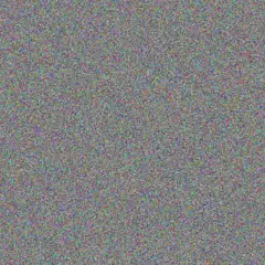 Antwan Koelpin triston adams