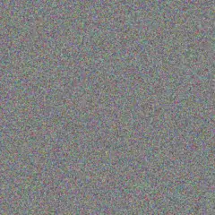 Barbara Murray christina white