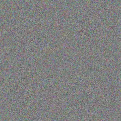 Barend Mudau warren white