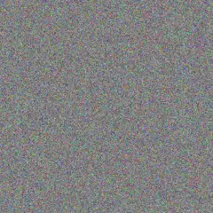 Barend Petersen rebecca lewis