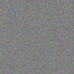 Beth Hughes selina hill