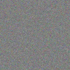 Birdie Haley rubie rolfson