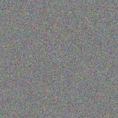 Boitumelo Phillips warren schoeman