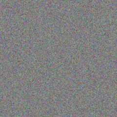 Bongiwe Lawrence anita nortje