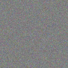 Bonnie Kuphal jaleel schuster