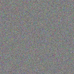 Brandon Ntshangase susan peter