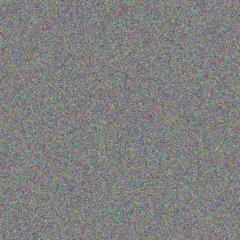 Brandon Terblanche pieter adam