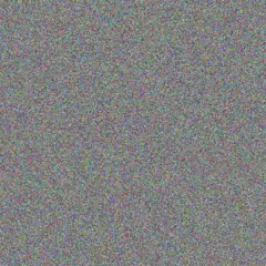 Brandon Terblanche ronald ntshangase