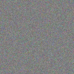 Bruce Lottering nicolette carstens