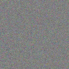 Brycen Dooley neil steuber