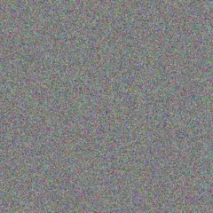 Bulelwa Phillips kim van vuuren