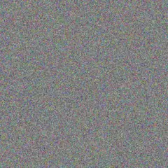 Bulelwa Phillips mogamat van eeden