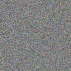 Bulelwa Phillips nicolaas bell