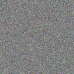 Caleigh Wintheiser kenya schimmel